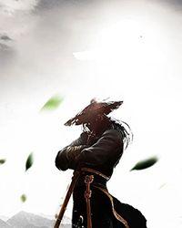 嫡女毒妃：妙手倾天下